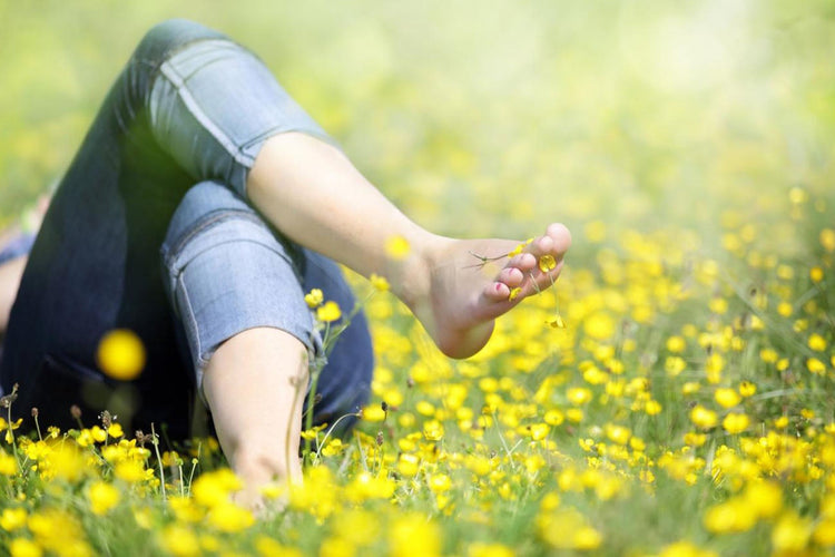 indulge for the holidays