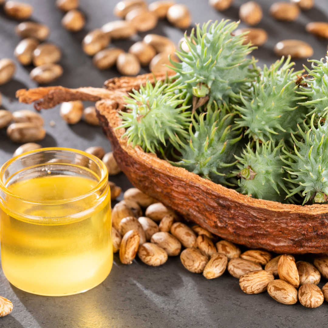 Castor Oil Scalar Charged 16oz