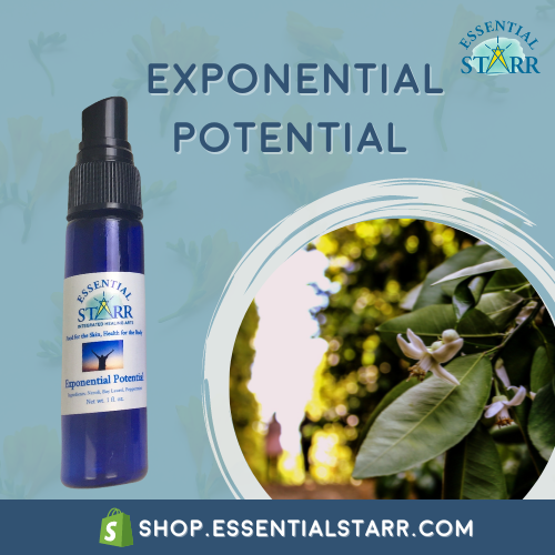Exponential Potential Hydrosol