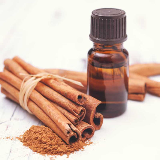 Cinnamon Bark oil