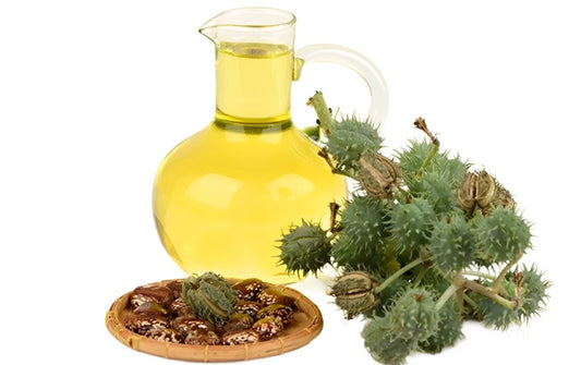 Castor Oil - Scalar Charged