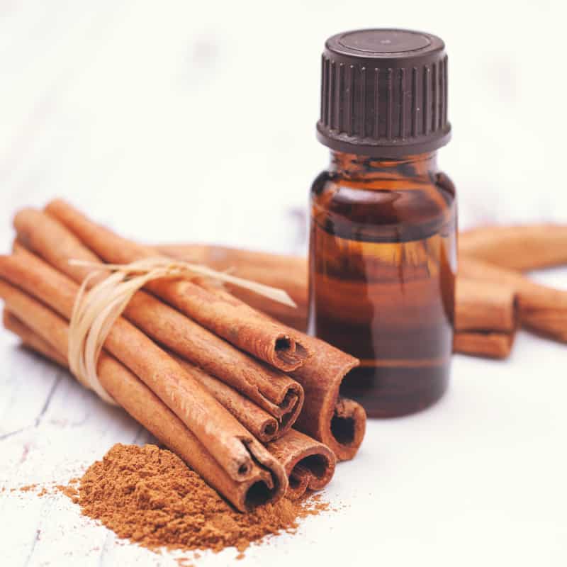 Cinnamon Bark oil